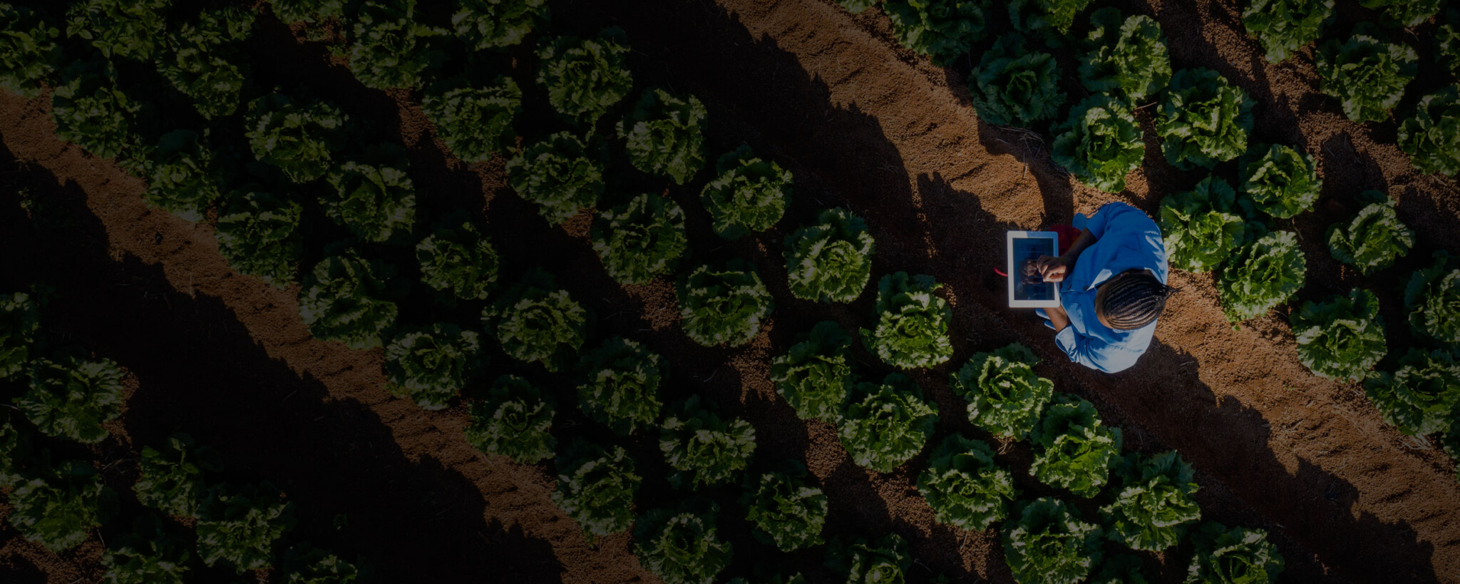 Pierson Wireless - Improving Connectivity in Agriculture