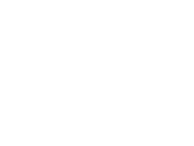 Allegiant Stadium