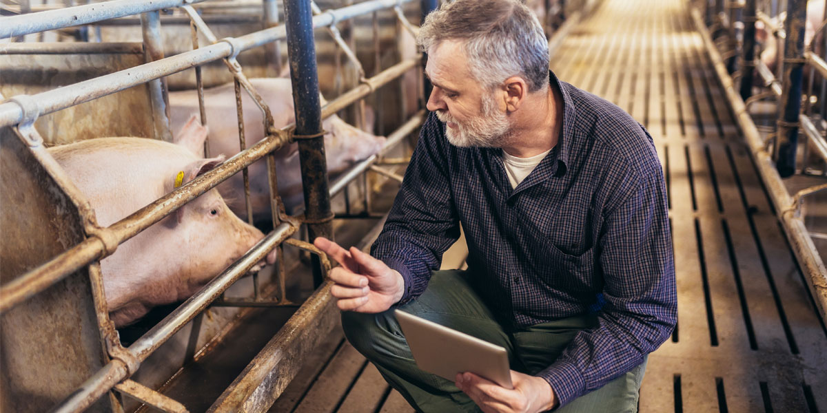 Smart Agriculture - Livestock Monitoring