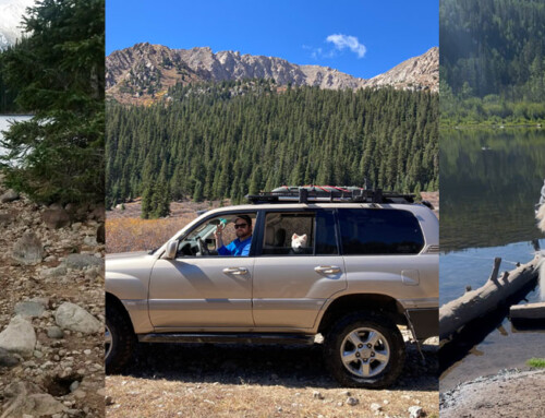 Employee Spotlight:  MATT SAMS